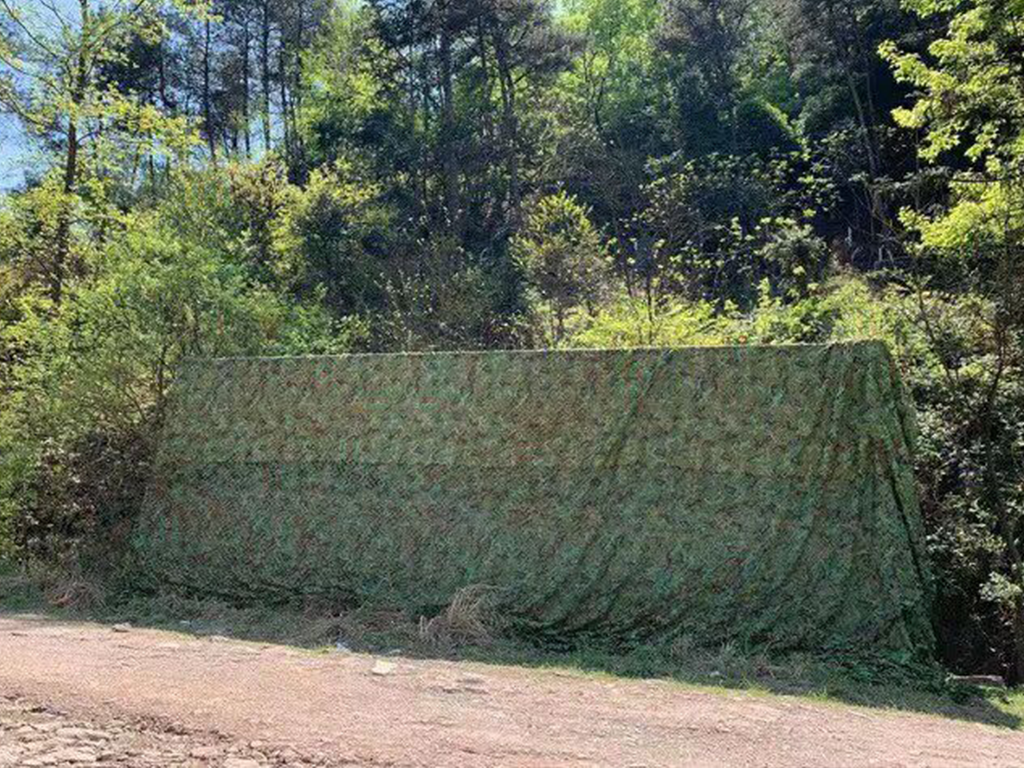 Decorative walls